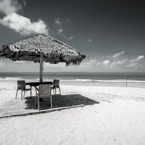 Vacation leave request